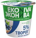 Творог EkoNiva черника 5%, 125 г
