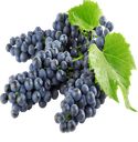 Виноград Кишмиш черный, 1 кг