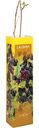 Саженец Кутепово Ежевика в ассортименте, 300см