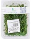 Микрозелень Кресс-салат GreenDL