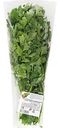 Петрушка свежая Зеленый рай, 100г