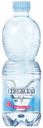 Вода природная питьевая Сенежская газированная 0,5 л