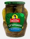 Огурчики Дядя Ваня По-берлински 680г