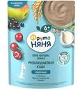 Каша мультизлаковая молочная ФрутоНяня яблоко-черная смородина-вишня с 6 месяцев, 200г