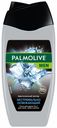 Гель для душа Palmolive Men Арктический ветер 3 в 1 мужской 250 мл