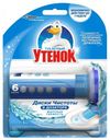 Очиститель унитаза «Туалетный Утенок» Диски чистоты Морская свежесть, 6 шт