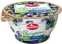 Йогурт густой ВКУСНОТЕЕВО, с черникой, 140г