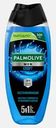 Гель для душа Спорт Palmolive Men 500мл