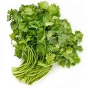 Кориандр Global Village Кинза свежая 50г