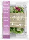 Смесь Салаты с поля руккола, радиччо, фриссе салатная 75г