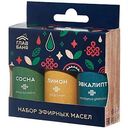 Набор эфирных масел ГлавБаня Сосна, лимон, эвкалипт, 3шт.