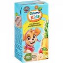 Сок детский ФрутоKids Мультифрукт с 8 месяцев, 200 мл