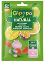 Фигурки фруктовые Gipopo 15г яблоко, манго, апельсин, маракуйя