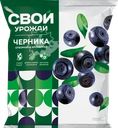 Черника СВОЙ УРОЖАЙ