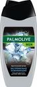 Гель для душа Palmolive Men Арктический ветер 3в1 мужской 250мл