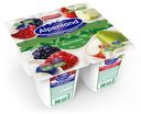 Йогурт 0.3% Ehrmann Alpenland Яблоко-груша/лесные ягоды, 95 г