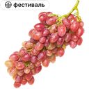 Виноград Кишмиш лучистый кубанский, 1кг