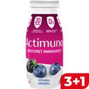 АКТИМУНО Кисломол прод Черника ежев и цинк 1,5% 95г:6/24