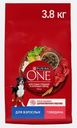 Сухой корм для собак крупных пород с говядиной и рисом Purina ONE 3.8кг