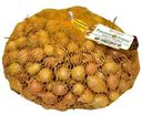 Лук-севок Русский Огород Штуттгартер Ризен 22/30, 500г