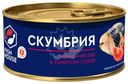Скумбрия Fish House атлантическая кусочки в томатном соусе 240г