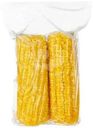 Кукуруза сахарная в початках вареная 1уп.