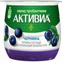 Биойогурт термостатный Активиа Черника 2,7%, 170 г