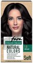 FARA Natural Краска для для волос 301 Черный:6