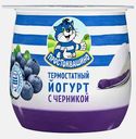 Йогурт Простоквашино термостатный черника 3.4% 160г