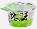 Сметана Из села Удоево 15% 180г