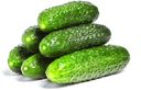 Огурцы в подложке, 300 г