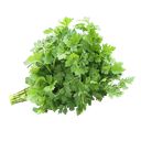 ПЕТРУШКА, 100г