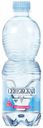 Вода природная питьевая Сенежская газированная 0,5 л