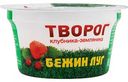 Творог Бежин луг Клубника-земляника 4,2%, 160 г