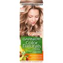 Краска для волос GARNIER®, Color Naturals 8.132 Натуральный светло-русый 