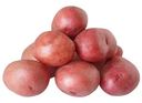 Картофель красный ранний