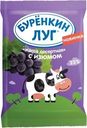 Продукт творожный Буренкин луг Масса десертная с изюмом 23% СЗМЖ 180г