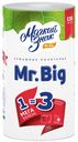 Бумажные полотенца двухслойные Mr. Big, Мягкий знак, 1 рулон