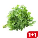 ПЕТРУШКА, 100г