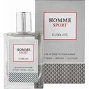 Туалетная вода для мужчин Euroluxe Homme Sport, 100 мл