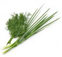 Зелень Global Village Укроп и лук 50г