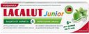 Зубная паста для детей и подростков Lacalut Junior 6+, 65 г
