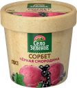 Сорбет СЕЛО ЗЕЛЕНОЕ черная смородина, 60г