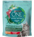 Сухой корм для стерилизованных кошек Purina One Природная защита говядина, 680г