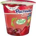 Желе РАСТИШКА вишневое, 100г