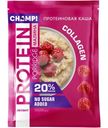 Каша овсяная Champ Малина протеиновая со льном, 40г