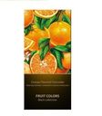 Шоколад Fruit Colors темный со вкусом апельсин 80г