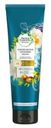 Маска для волос Herbal Essences «Марокканское аргановое масло», 250 мл