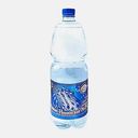Вода Нижне-Ивкинская минеральная газированная 1.5л
