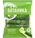 Огурцы Ботаника фасованные, 420г